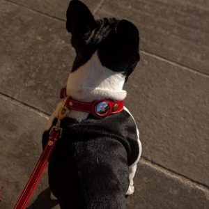 Compatible with Apple, OEM Soft Vegetable Tanned Leather GPS Tracker Case Airtag Leather Dog Collar