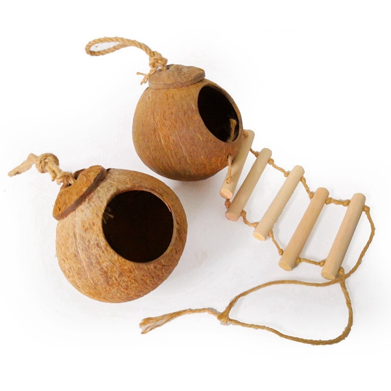 Natural coconut shell bird nest - Imagen 2