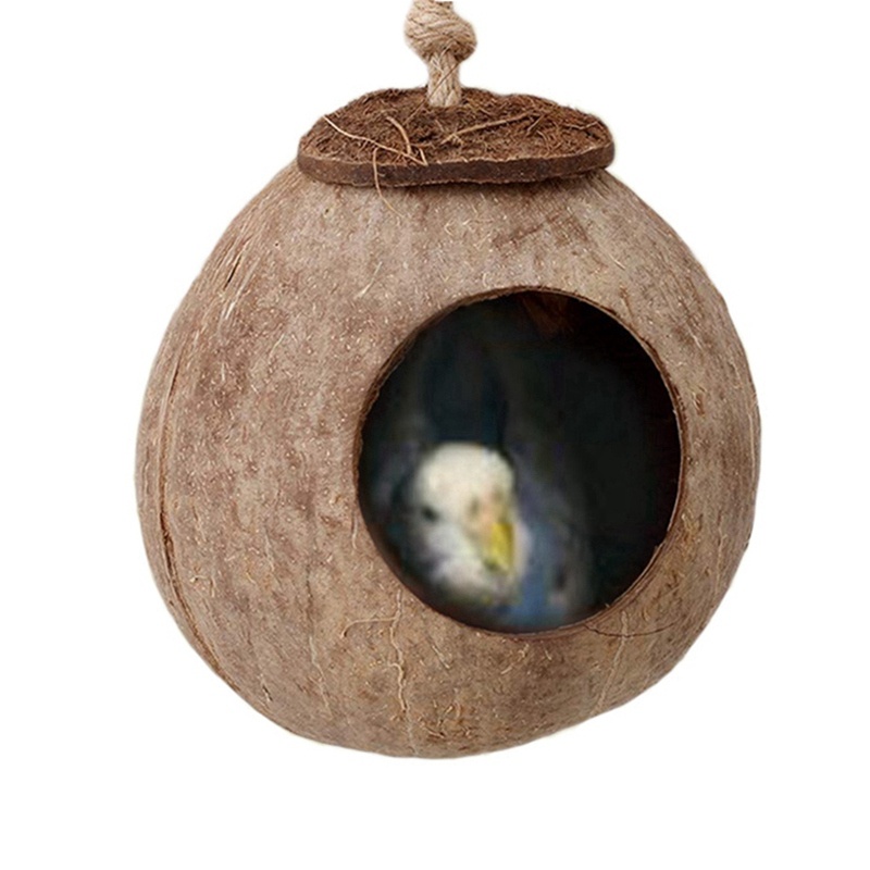 Natural coconut shell bird nest - Imagen 3