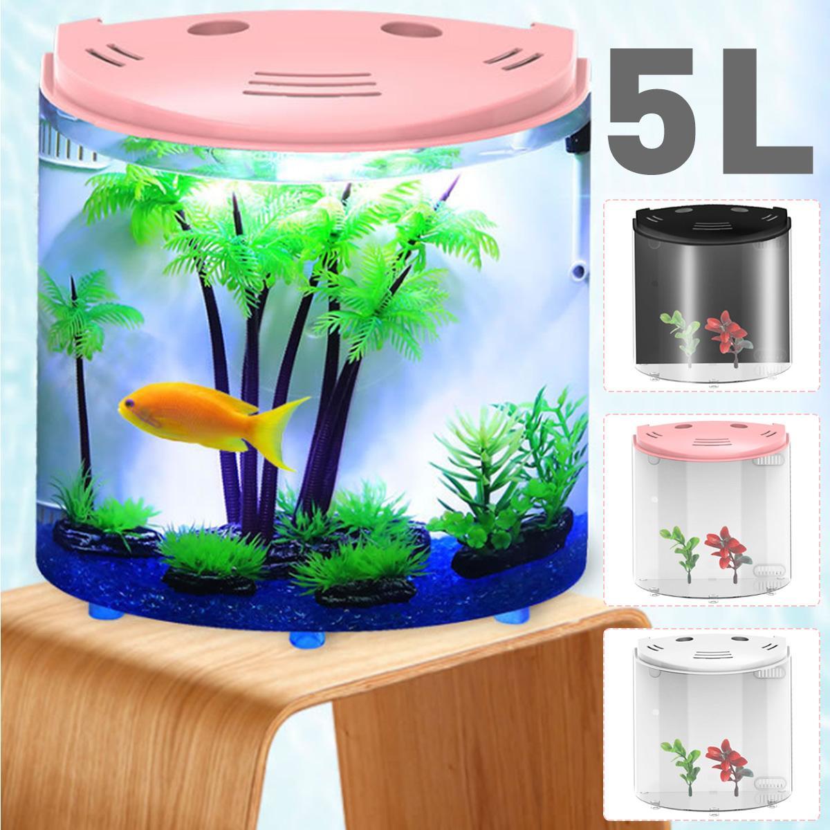 Ecological acrylic fish tank - Imagen 7