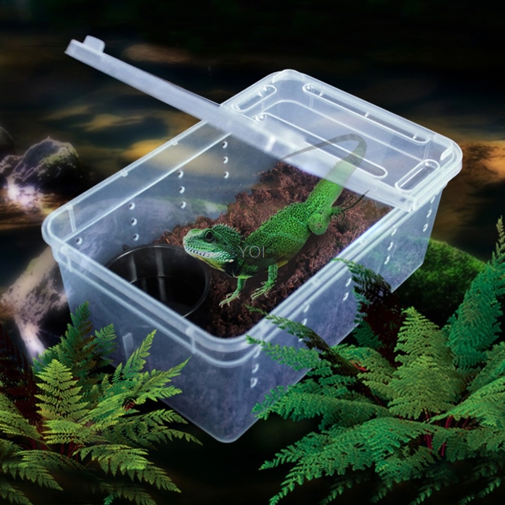 Caja de alimentación para reptiles de plástico transparente - Imagen 6