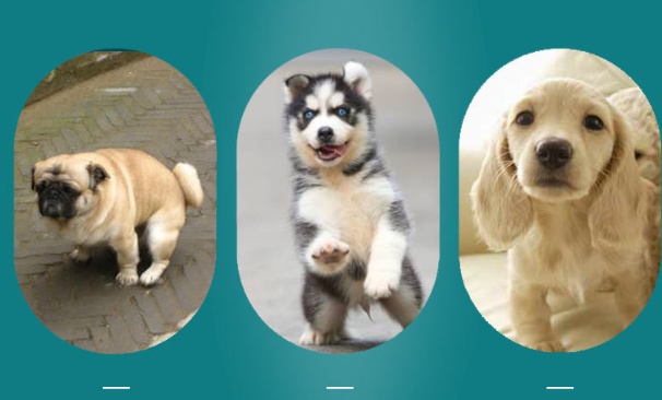 Almohadilla Absorbente Reutilizable - Imagen 5