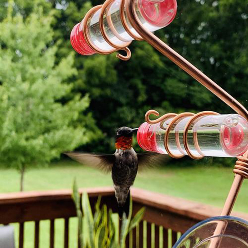 Garden Bird Feeder Supplies Hummingbird Feeder Drinker Suction Cup Easy To Clean Deck Garden Decor Bird Feeders for Wild Birds - Imagen 5