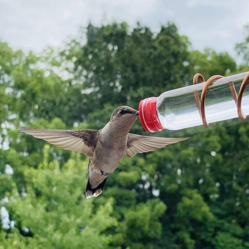 Garden Bird Feeder Supplies Hummingbird Feeder Drinker Suction Cup Easy To Clean Deck Garden Decor Bird Feeders for Wild Birds - Imagen 3