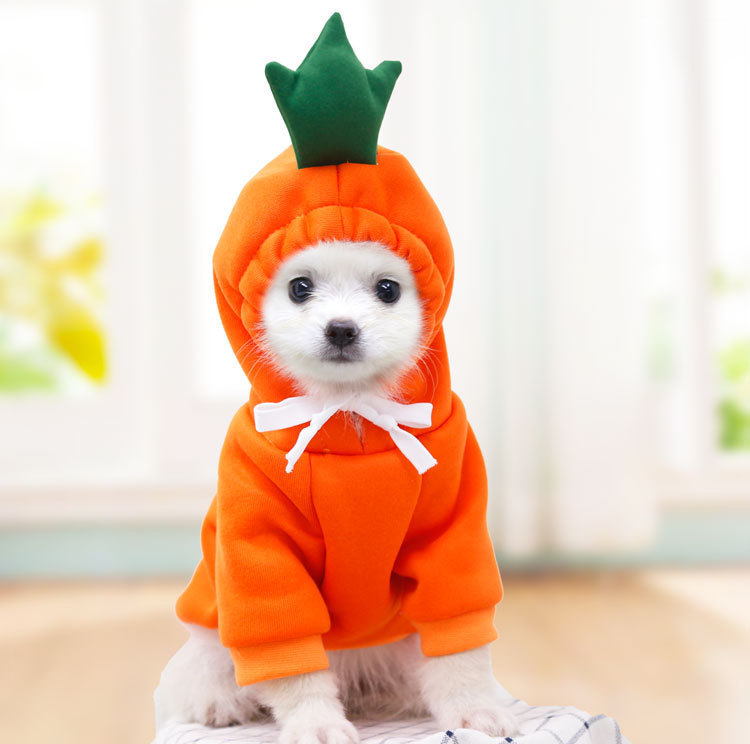 Cute Fruit Dog Clothes For Small Dogs Hoodies Winter Warm Fleece Pet Clothing Puppy Cat Costume Coat For French Chihuahua Outfit - Imagen 10
