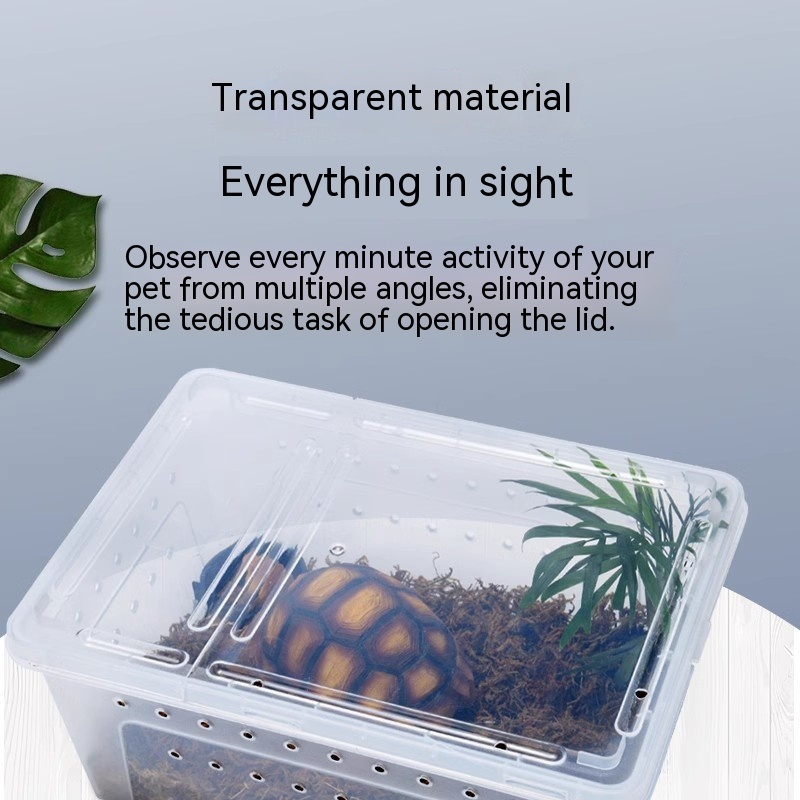 Caja de alimentación para gusanos de seda – Recipiente para mascotas y tortugas - Imagen 10