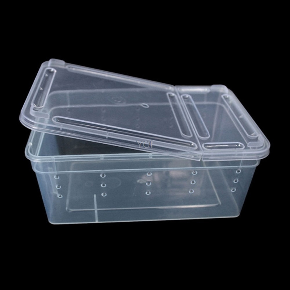 Caja de alimentación para reptiles de plástico transparente - Imagen 3