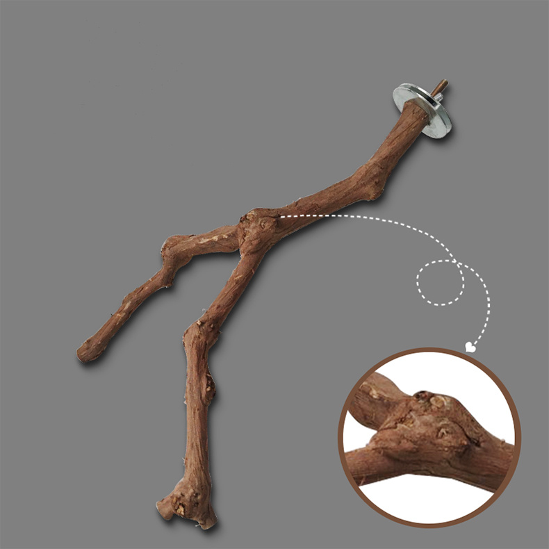 Add a stand pole to the cage for parrot birds - Imagen 2