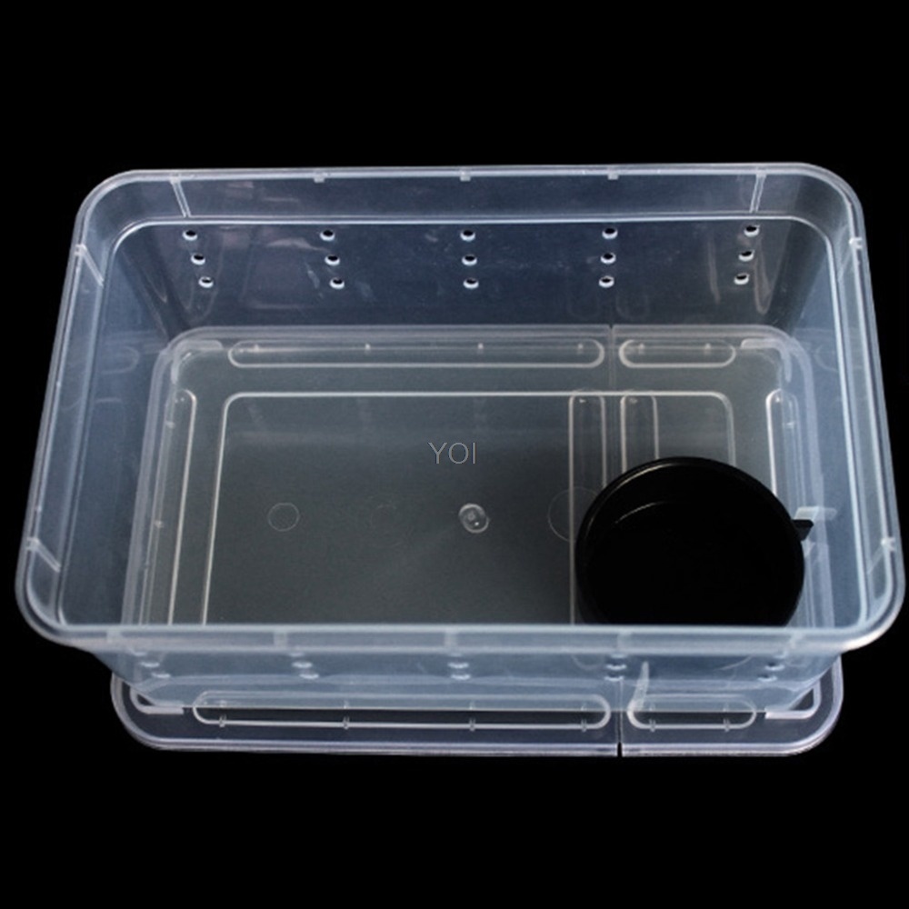 Caja de alimentación para reptiles de plástico transparente - Imagen 5