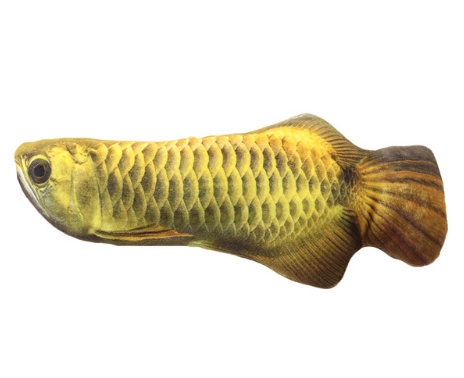 Creative Catnip Fish Pet Plush Toy Fish Cat Pillow - Imagen 3