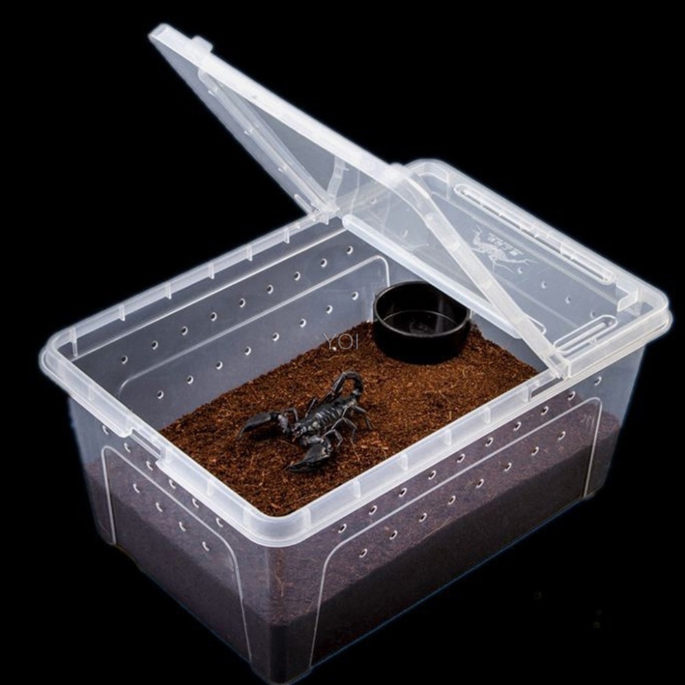 Caja de alimentación para reptiles de plástico transparente - Imagen 4