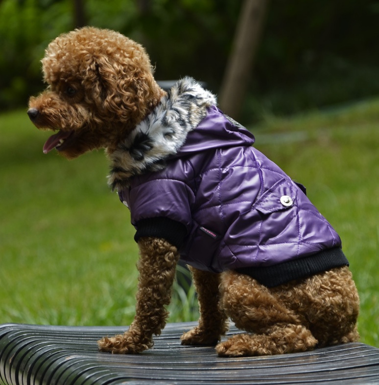 Cross-border pet supplies pet clothes dog clothes autumn and winter fur collar coat pet dog clothing - Imagen 3