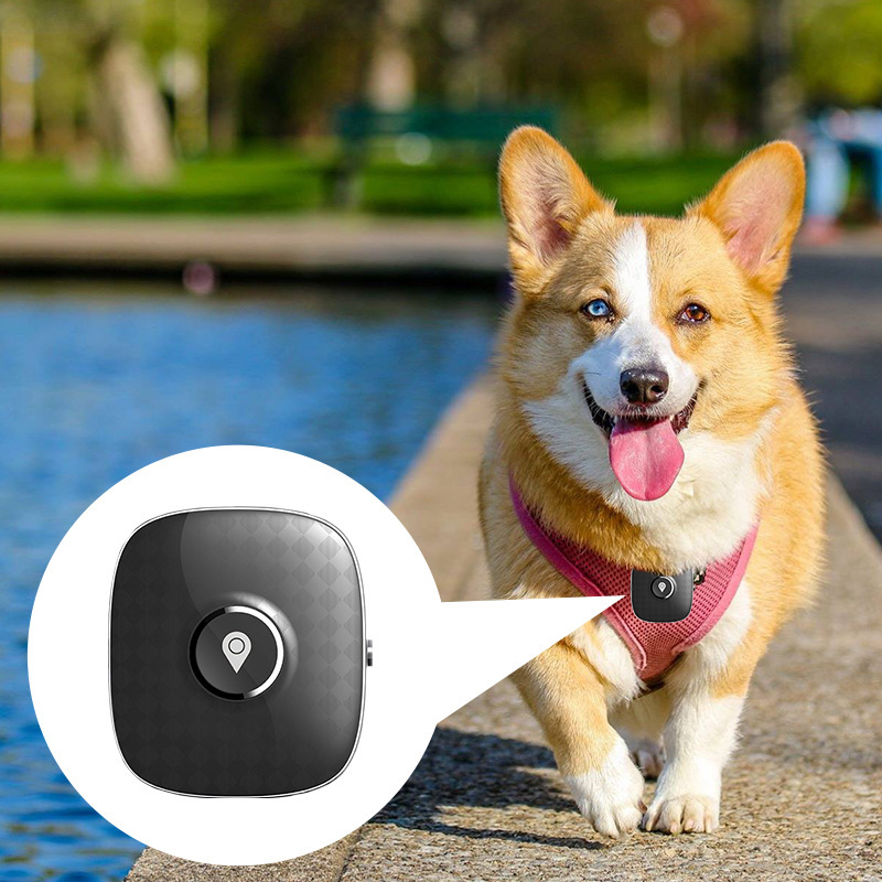 GPS Locator To Prevent Stray Pet Cat And Dog - Imagen 2