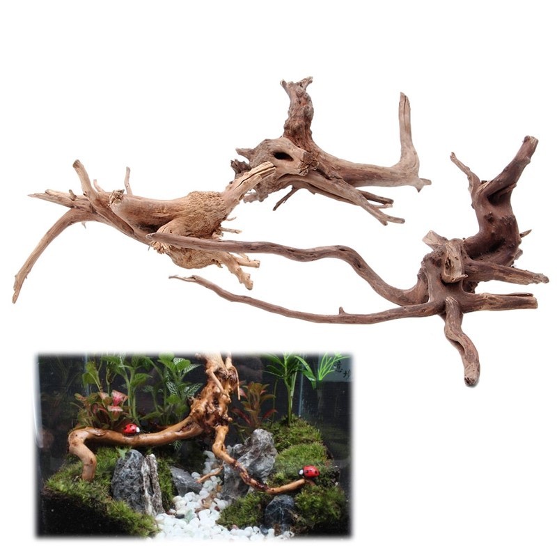 Fish tank decoration sunken tree root landscaping wood - Imagen 6