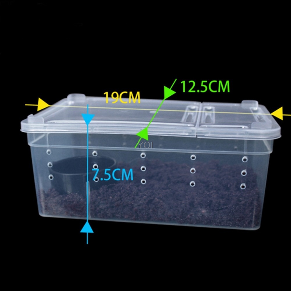 Caja de alimentación para reptiles de plástico transparente - Imagen 2