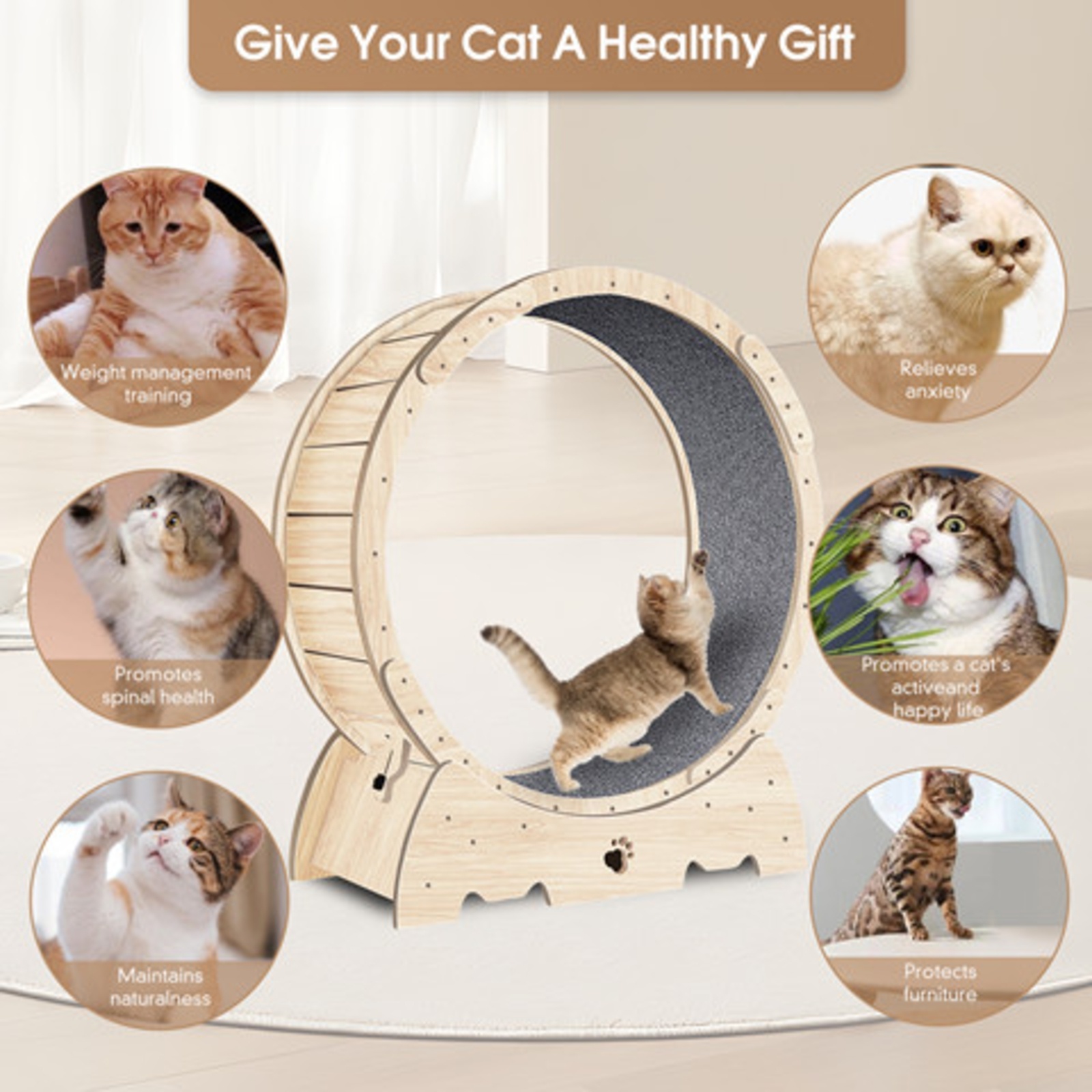 Cat Exercise Wheel For Indoor Cats, Running Wheel With Carpeted Runway - Imagen 5