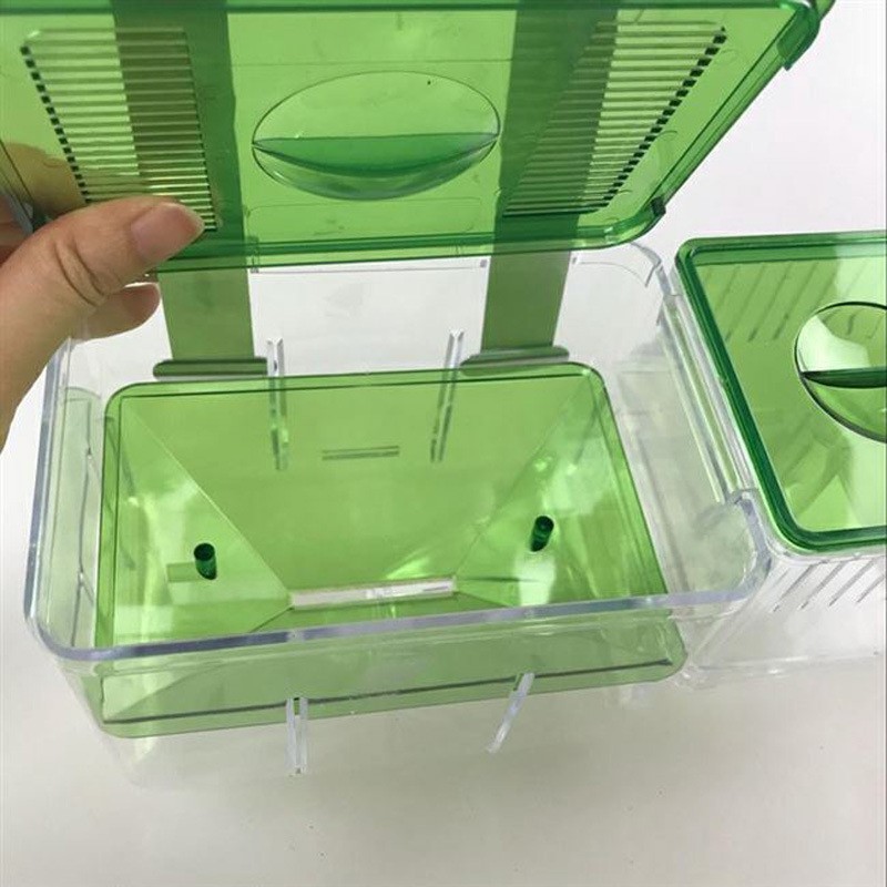 Hatching box guppy sick fish isolation box fighting fish - Imagen 2