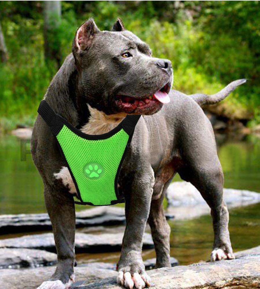 Arnés Transpirable para Perros - Image 5