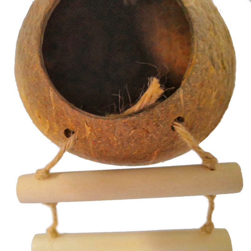 Natural coconut shell bird nest - Imagen 5