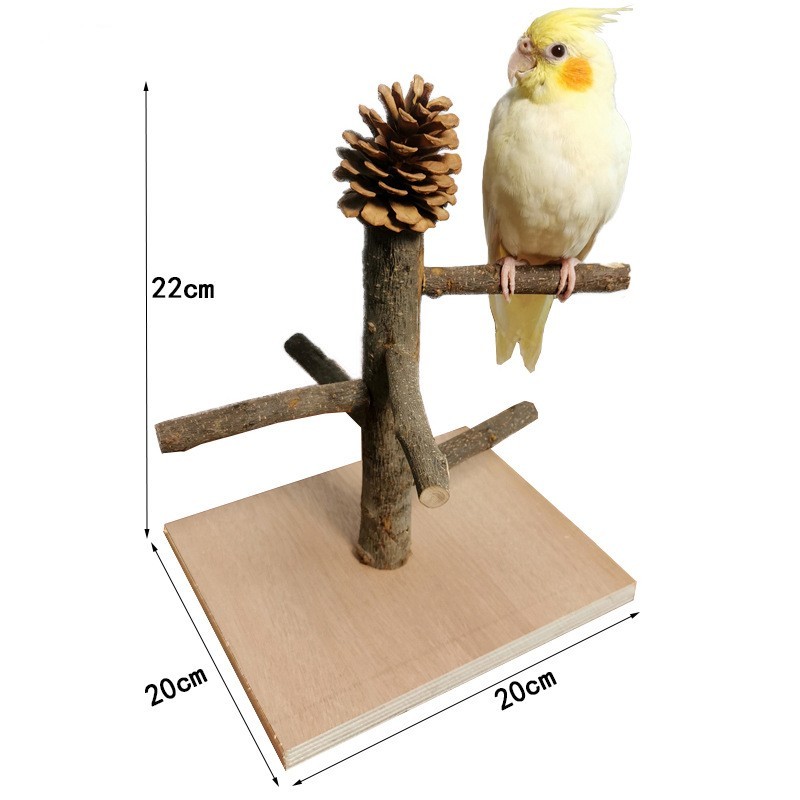 Solid Wood Parrot Station Frame Training Bird Shelf Parrot Toys - Imagen 7