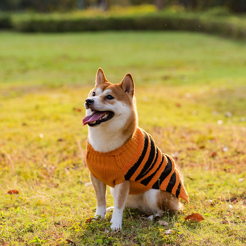 Halloween Dog Sweaters Pet Costume Teddy Warm Leisure Sweater Cosplay Clothes For Dogs Pets Outfits - Imagen 4