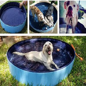 Piscina Plegable para Perros Piscina de Natación y Baño para Mascotas