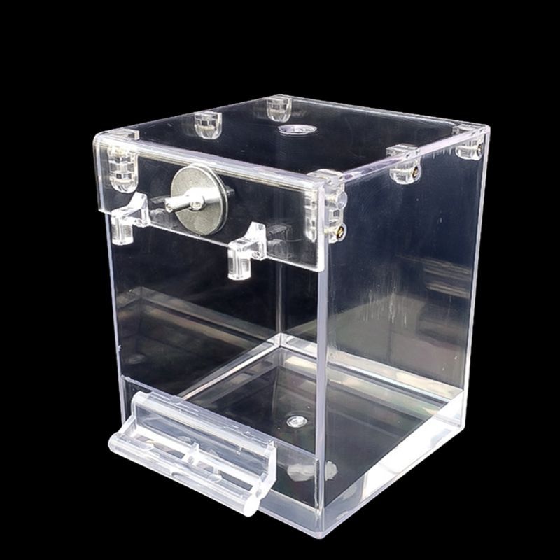 External Bird Bath Transparent Bath Square Basin Bird Supplies Pet Supplies - Imagen 4