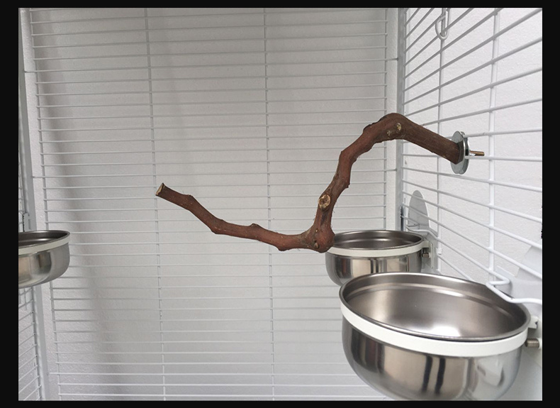 Add a stand pole to the cage for parrot birds - Imagen 3