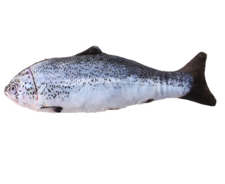 Creative Catnip Fish Pet Plush Toy Fish Cat Pillow - Imagen 4