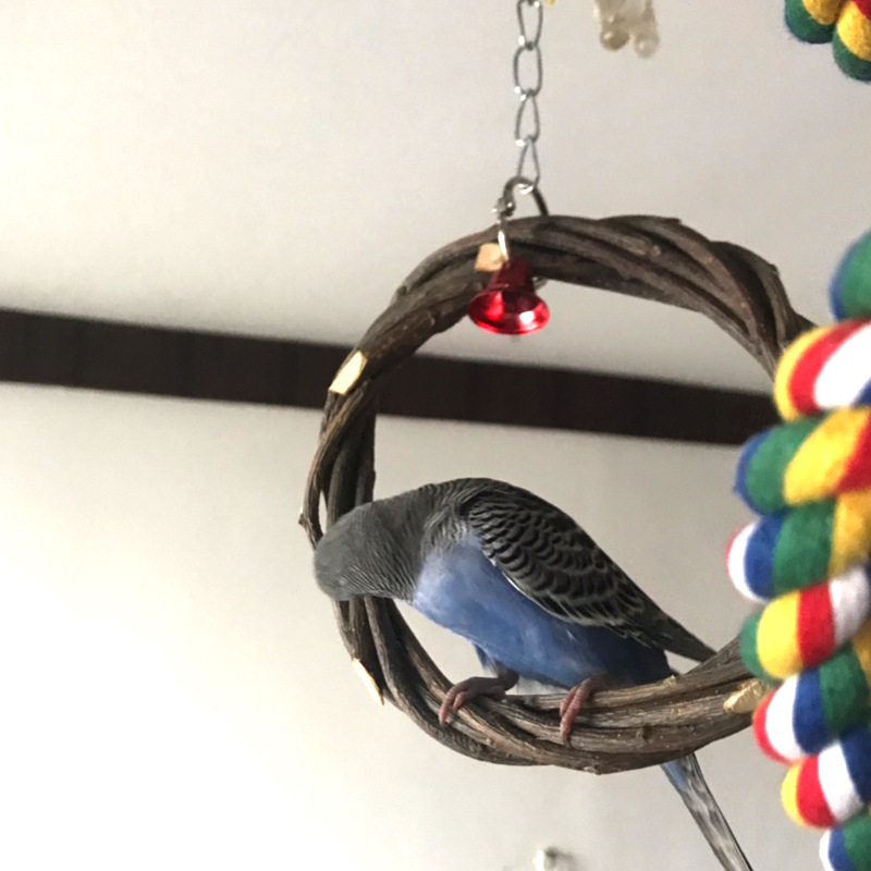 Bird Standing Frame Rattan Ring Chewing Toy Bird Cage - Imagen 5