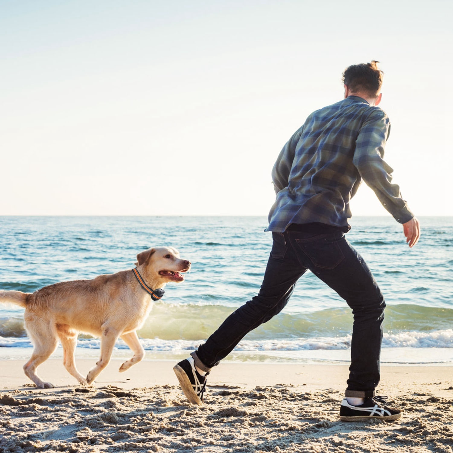 2 In 1 Dog GPS Fence Tracker Wireless GPS Dog Fence GPS Dog Collar With 32-2887FT Radius IPX6 Waterproof For Small Medium Large Dogs - Imagen 10