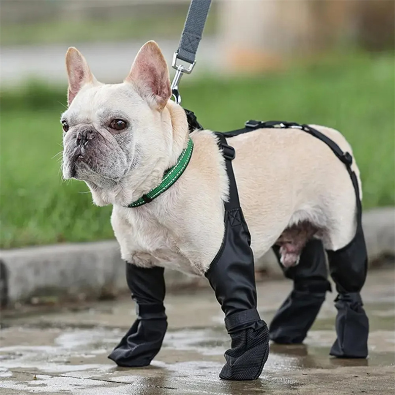 Waterproof Dog Shoes Adjustable Dog Boots Pet Breathbale Shoes For Outdoor Walking Soft French Dog Shoes Pets Paws Protector Pet Products - Imagen 2