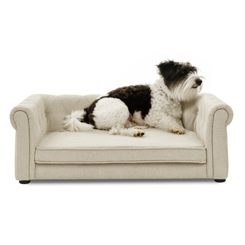 Elegant Rectangular Pet Bed For Medium And Large Dogs - Imagen 3