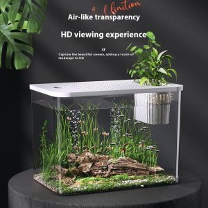 Ecological Betta Tank Living Room Mini Size Home