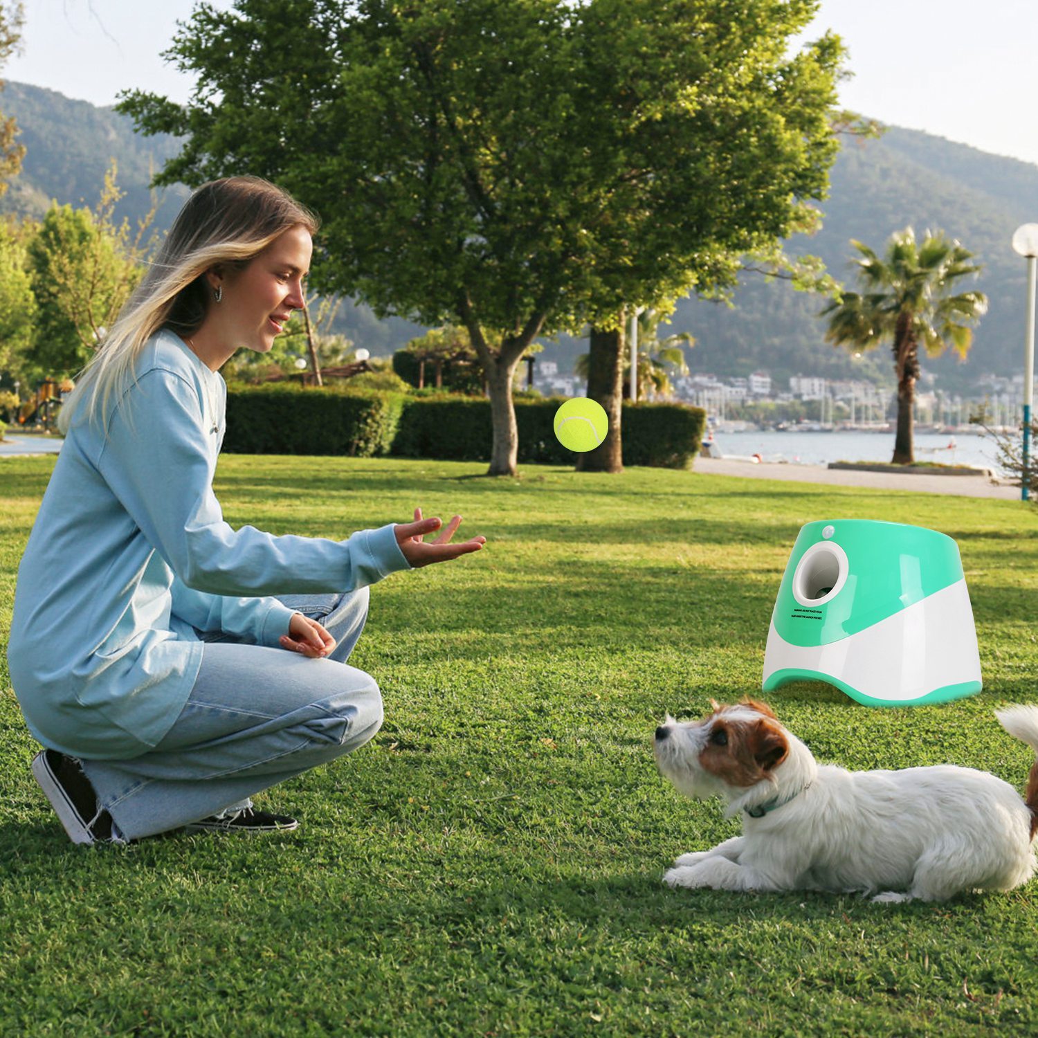 Lanzador automático de pelotas para perros - Imagen 7