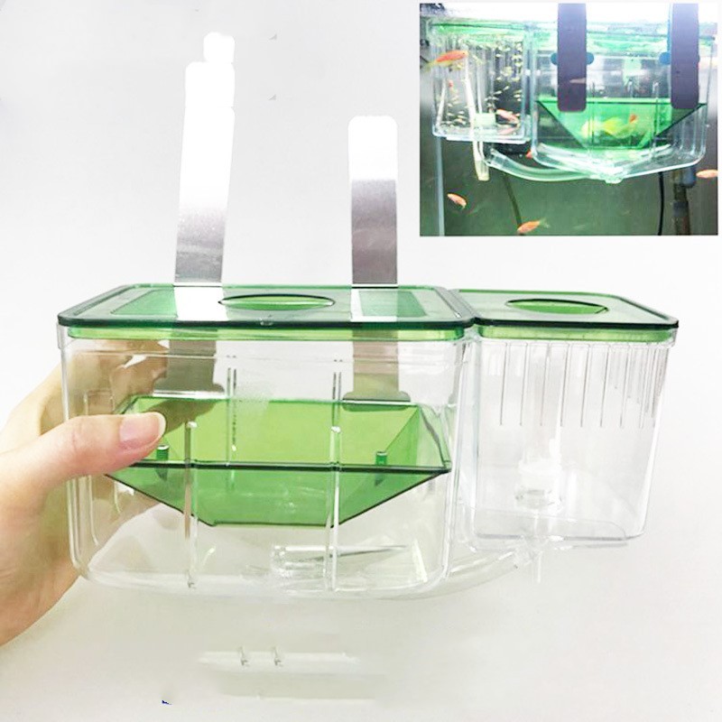 Hatching box guppy sick fish isolation box fighting fish - Imagen 5