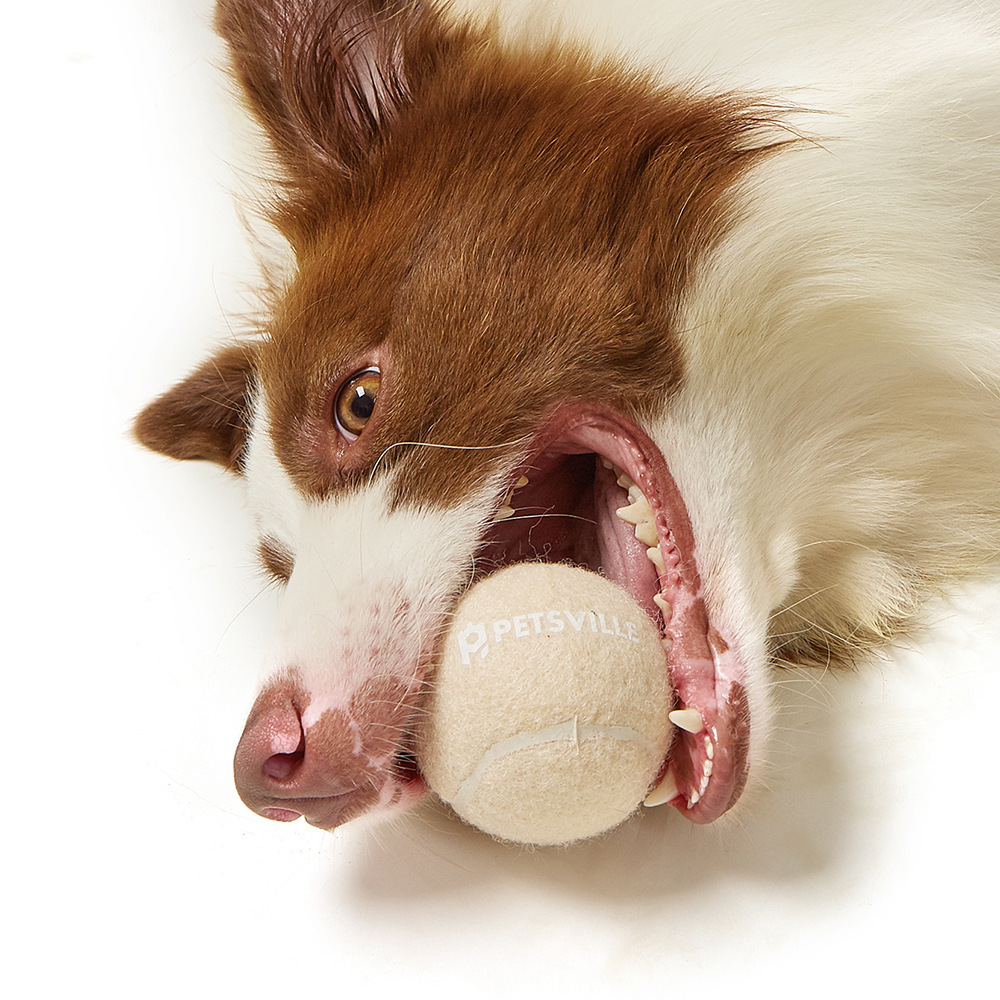 Juguetes Interactivos para Perros con Pelota de Tenis para Exterior - Imagen 8