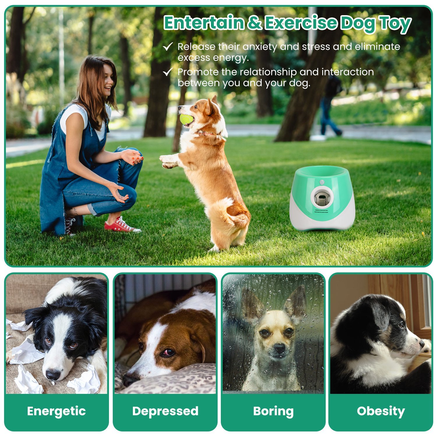 Lanzador automático de pelotas para perros - Imagen 2