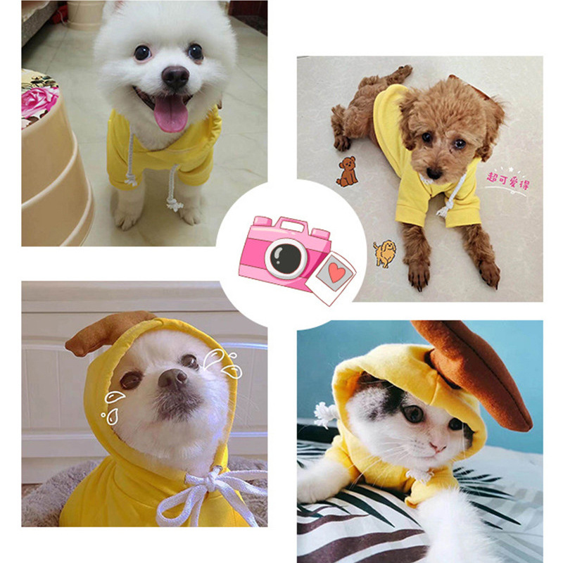 Cute Fruit Dog Clothes For Small Dogs Hoodies Winter Warm Fleece Pet Clothing Puppy Cat Costume Coat For French Chihuahua Outfit - Imagen 8