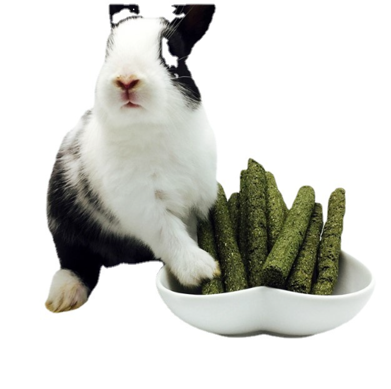 Bunny-Molar-Timothy-Bamboo-Sticks-for-Small.png