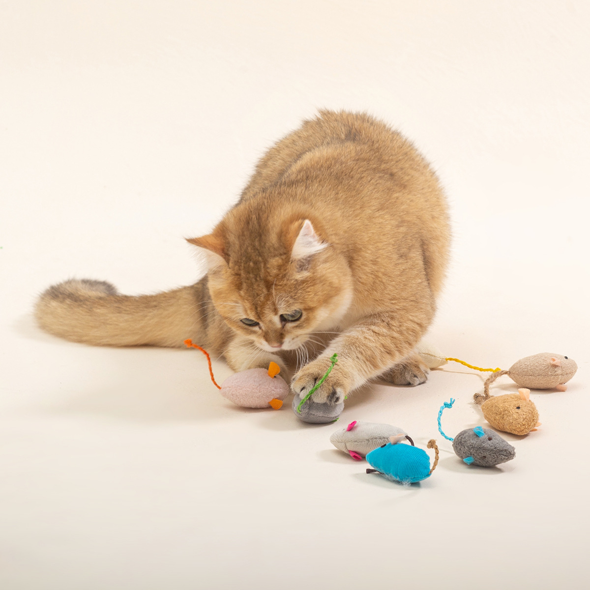 Plush-Mouse-Contains-Catnip-Suit-Mouse-Resistant.jpg