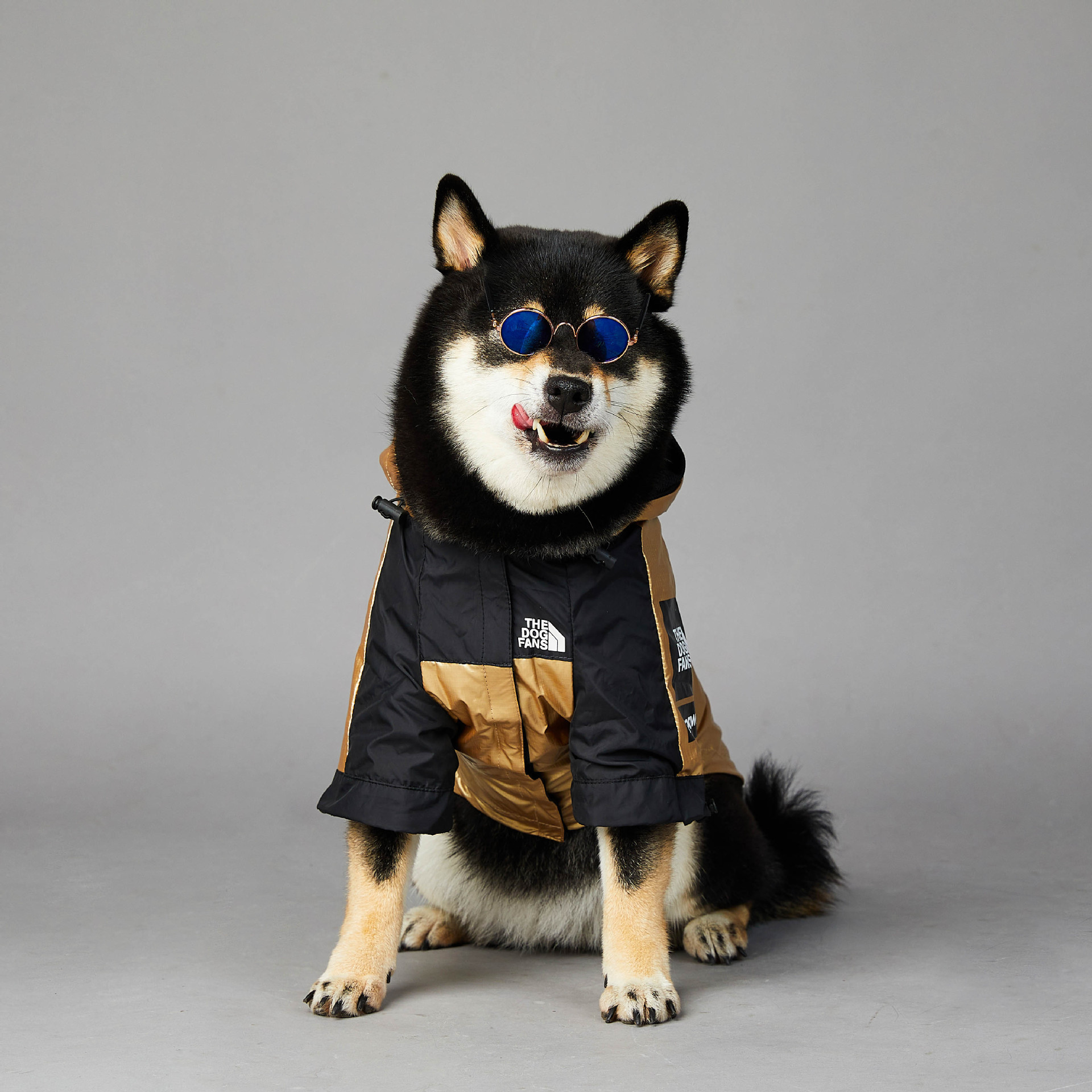 Dog Large Dog Raincoat Pet Jacket - Imagen 2