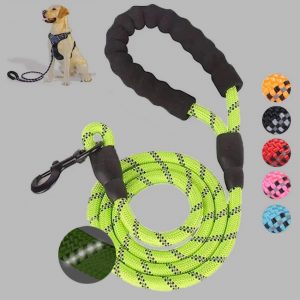 pequeño mediano Sized mascota perro Luminous Leash Chain Puppies
