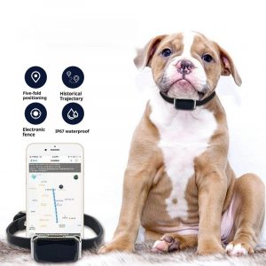 G12 Localizador Inteligente para Mascotas con GPS