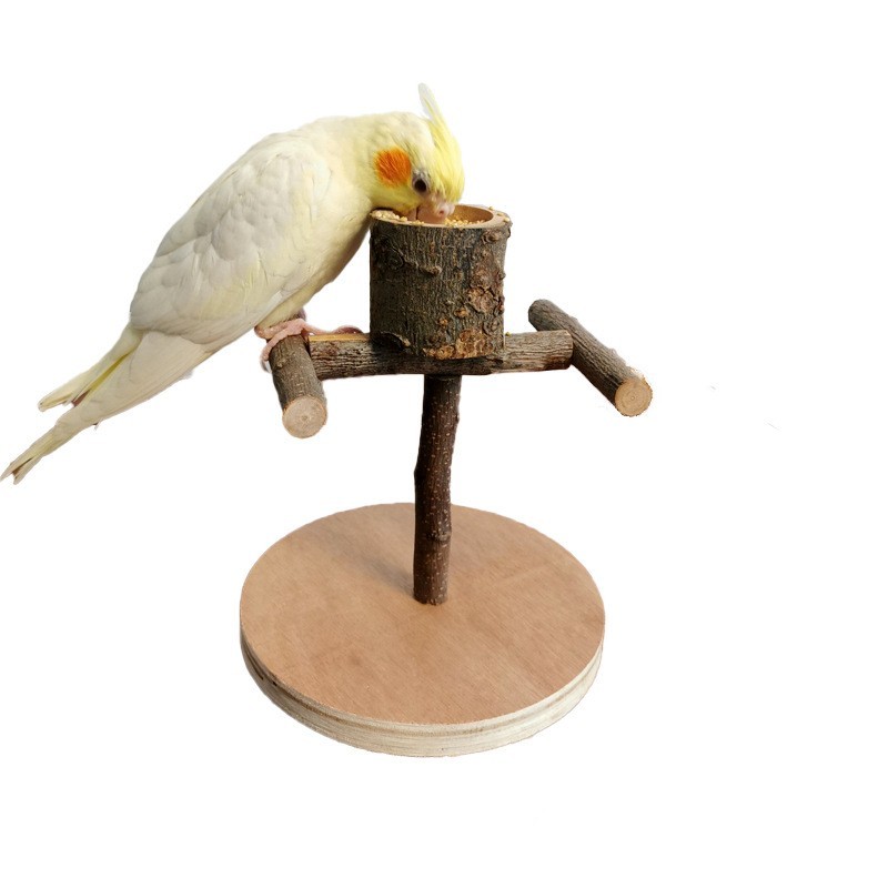 Solid Wood Parrot Station Frame Training Bird Shelf Parrot Toys - Imagen 2