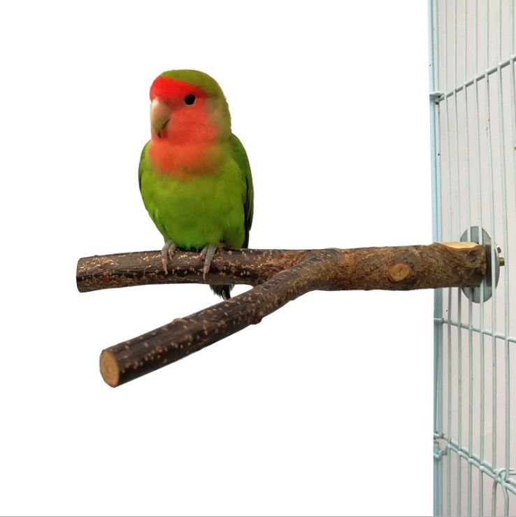 Bird Standing Frame Rattan Ring Chewing Toy Bird Cage - Imagen 2