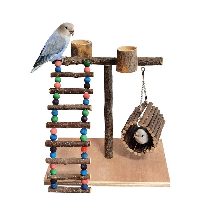 Solid Wood Parrot Station Frame Training Bird Shelf Parrot Toys - Imagen 6