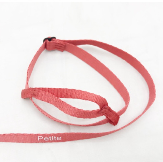 Parrot Flying With Flying Rope And Bird Harness - Imagen 7